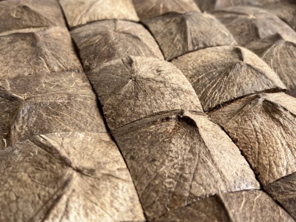 rooted coconut cladding detail shot